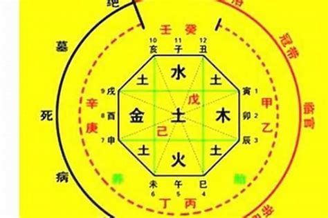 喜木火|八字喜用神为木火：五行旺衰与生活决策指南